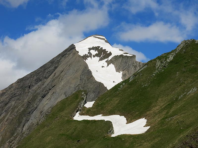 Hintereggkogel